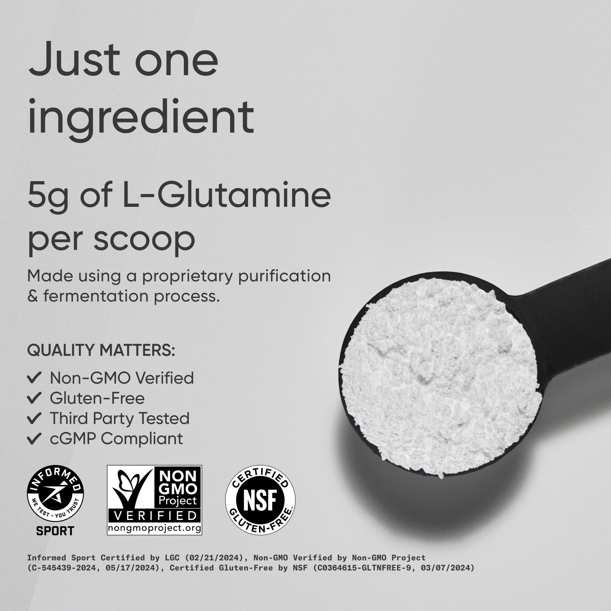 Sports Research L-Glutamine - Workout Recovery, Immune Health & Gut Health Support - 5 G Per Serving - 10.58 Oz - Maple Wellness Supplements