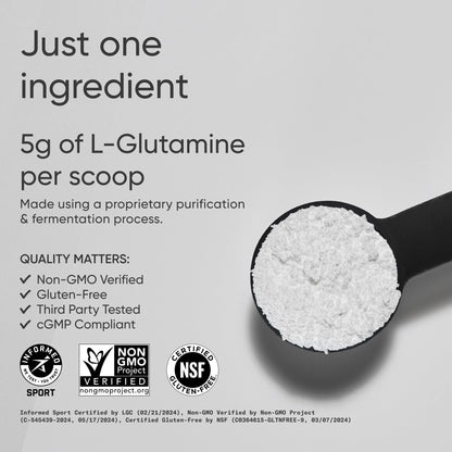 Sports Research L-Glutamine - Workout Recovery, Immune Health & Gut Health Support - 5 G Per Serving - 10.58 Oz - Maple Wellness Supplements