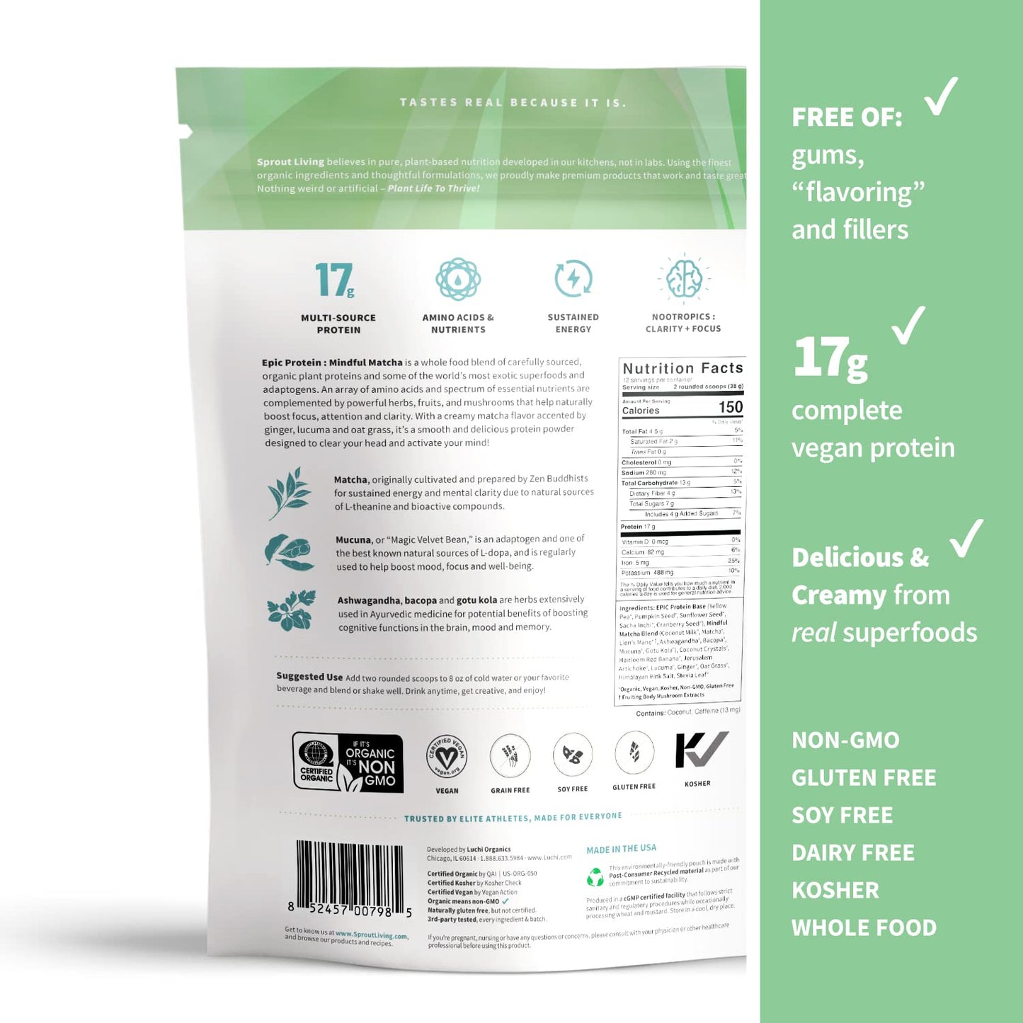 Sprout Living Epic Protein, Plant Based Protein & Superfoods Powder, Mindful Matcha - Maple Wellness Supplements