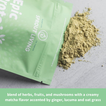 Sprout Living Epic Protein, Plant Based Protein & Superfoods Powder, Mindful Matcha - Maple Wellness Supplements