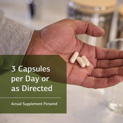 Standard Process ProSynbiotic - Whole Food Bowel, Immune Support, Digestion and Digestive Health with Bifidobacterium, Chicory Root, Lactobacillus Acidophilus, - Maple Wellness Supplements