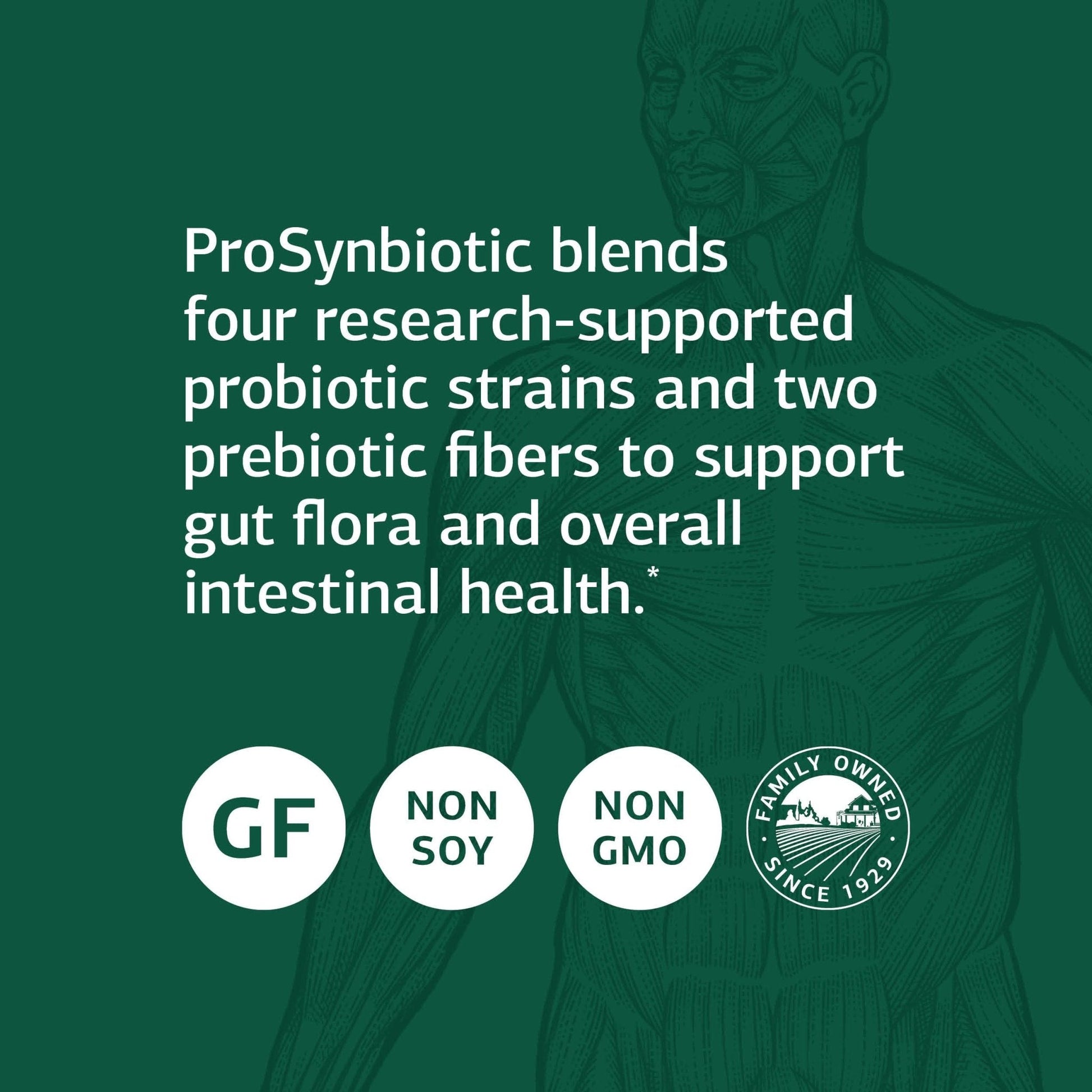 Standard Process ProSynbiotic - Whole Food Bowel, Immune Support, Digestion and Digestive Health with Bifidobacterium, Chicory Root, Lactobacillus Acidophilus, - Maple Wellness Supplements