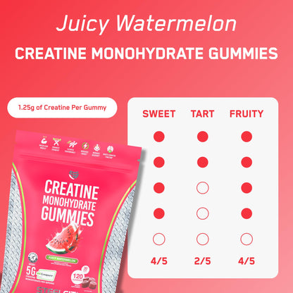 SteelFit Creapure Creatine Monohydrate Gummies for Men & Women, Juicy Watermelon - Gym Workout Nutritional Supplements for Muscle Gain, Brain Health & Strength Building Dietary Supplement, 120 Gummies - Maple Wellness Supplements