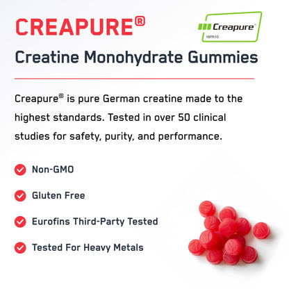 SteelFit Creapure Creatine Monohydrate Gummies for Men & Women, Juicy Watermelon - Gym Workout Nutritional Supplements for Muscle Gain, Brain Health & Strength Building Dietary Supplement, 120 Gummies - Maple Wellness Supplements