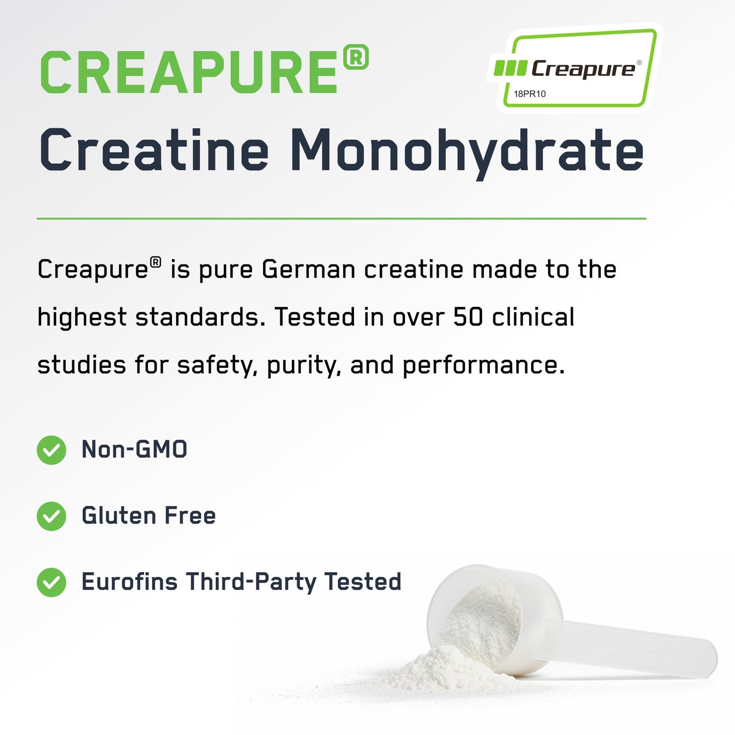 SteelFit Creapure Creatine Monohydrate Powder, Unflavored - German Micronized Creatine Powder for Men & Women - Gym Workout Nutritional Supplements for Muscle Gain - Maple Wellness Supplements