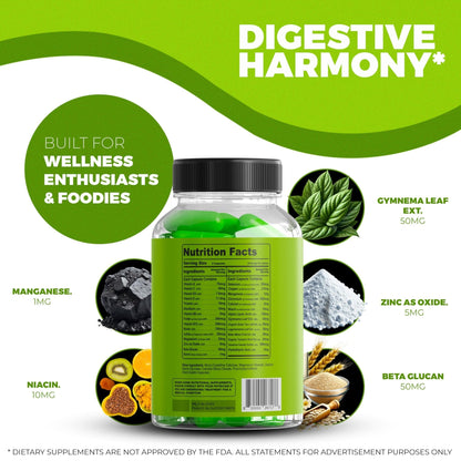 Stemox Gut Energy – Natural Energy & Metabolism Support Supplement with Biotin, Chromium, Alpha Lipoic Acid & Organic Herbal Extracts – Blood Sugar & Gut Health Support – 60 Vegan Capsules - Maple Wellness Supplements