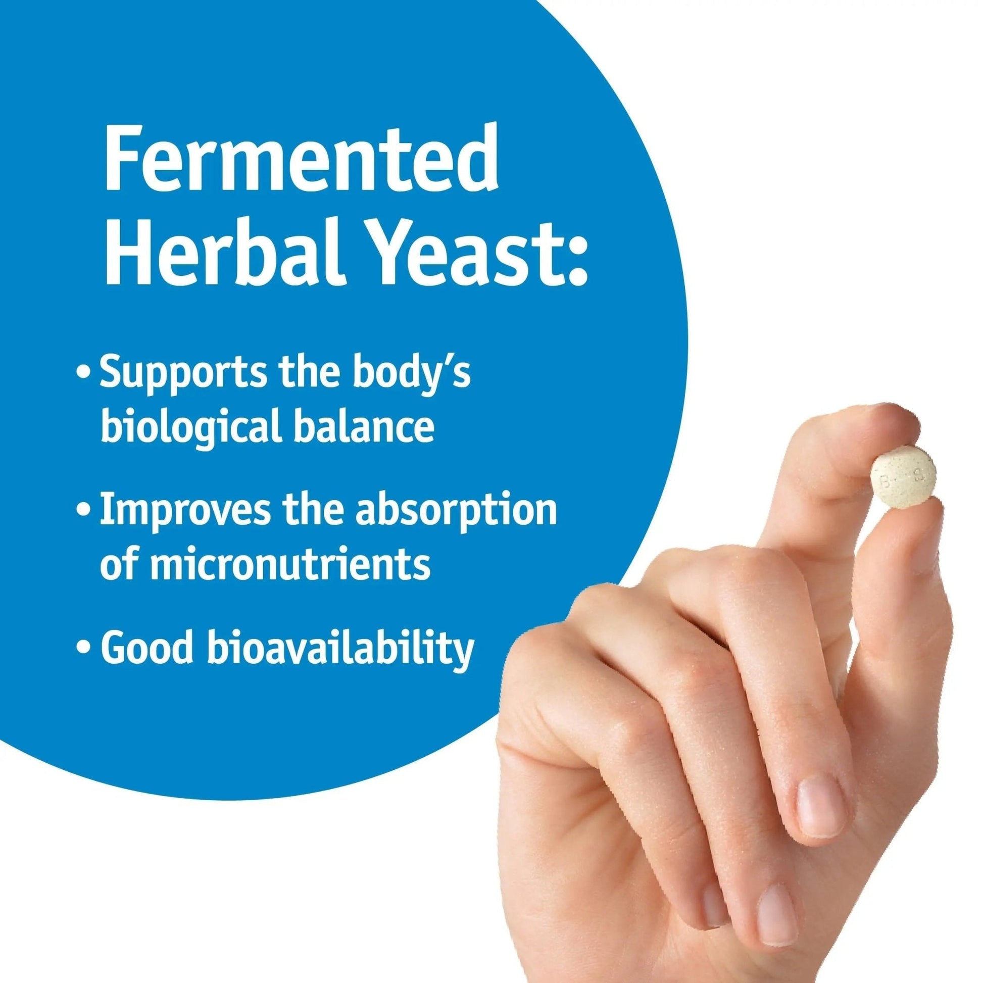 Strath Nutritional Yeast Tablets - Vegetarian, Lactose Free, Artificial Additive Free - Digestive Support, Nutrient Absorption - Unflavored Daily Supplement - Prebiotic and Postbiotic - Maple Wellness Supplements