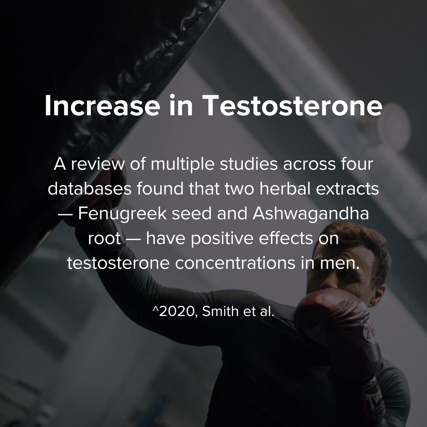 STRIVLABS Peak Potential 12-in-1 Support for Men – Fenugreek, Ashwagandha & Tongkat Ali – Natural Strength - Maple Wellness Supplements