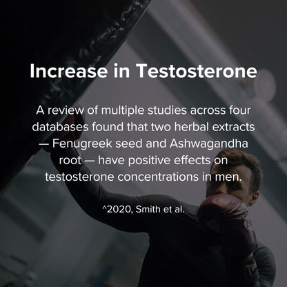 STRIVLABS Peak Potential 12-in-1 Support for Men – Fenugreek, Ashwagandha & Tongkat Ali – Natural Strength - Maple Wellness Supplements