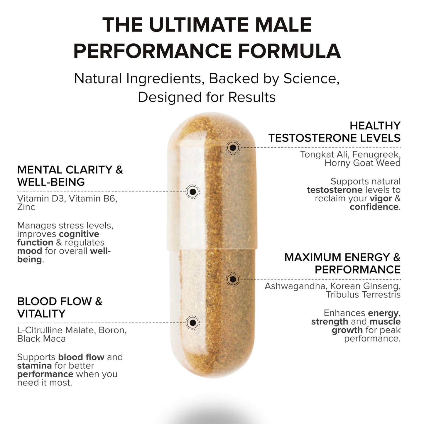 STRIVLABS Peak Potential 12-in-1 Support for Men – Fenugreek, Ashwagandha & Tongkat Ali – Natural Strength - Maple Wellness Supplements