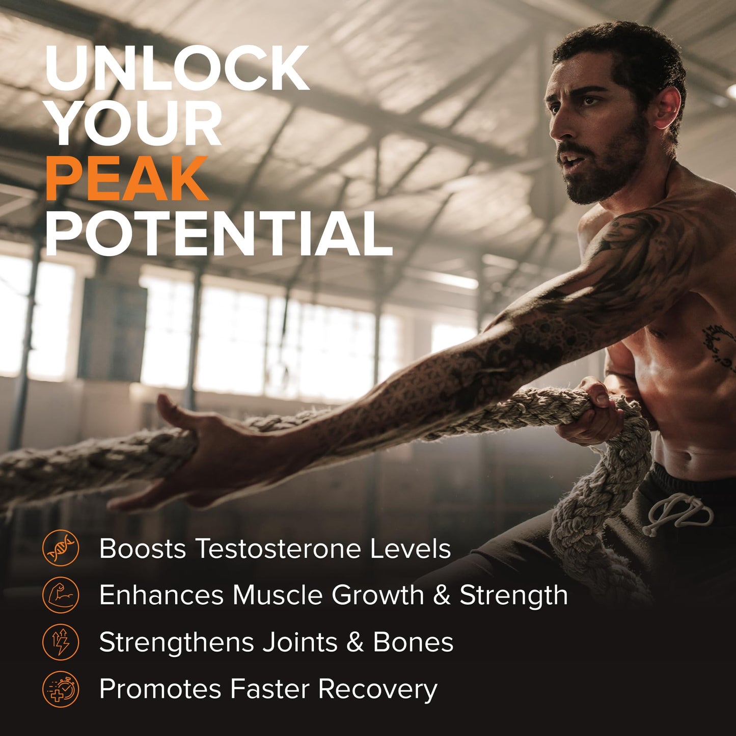 STRIVLABS Peak Potential 12-in-1 Support for Men – Fenugreek, Ashwagandha & Tongkat Ali – Natural Strength - Maple Wellness Supplements