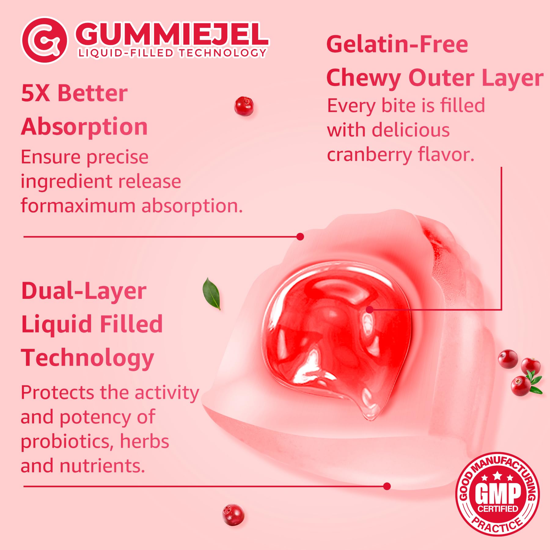 Sugar Free Menopause Supplement Gummies for Women, Menopause Probiotics (10 Billion CFU) Filled Gummy with Ashwagandha, Dong Quai & Black Cohosh for Hot Flashes, Night Sweats, Mood Swings, Gut Health - Maple Wellness Supplements