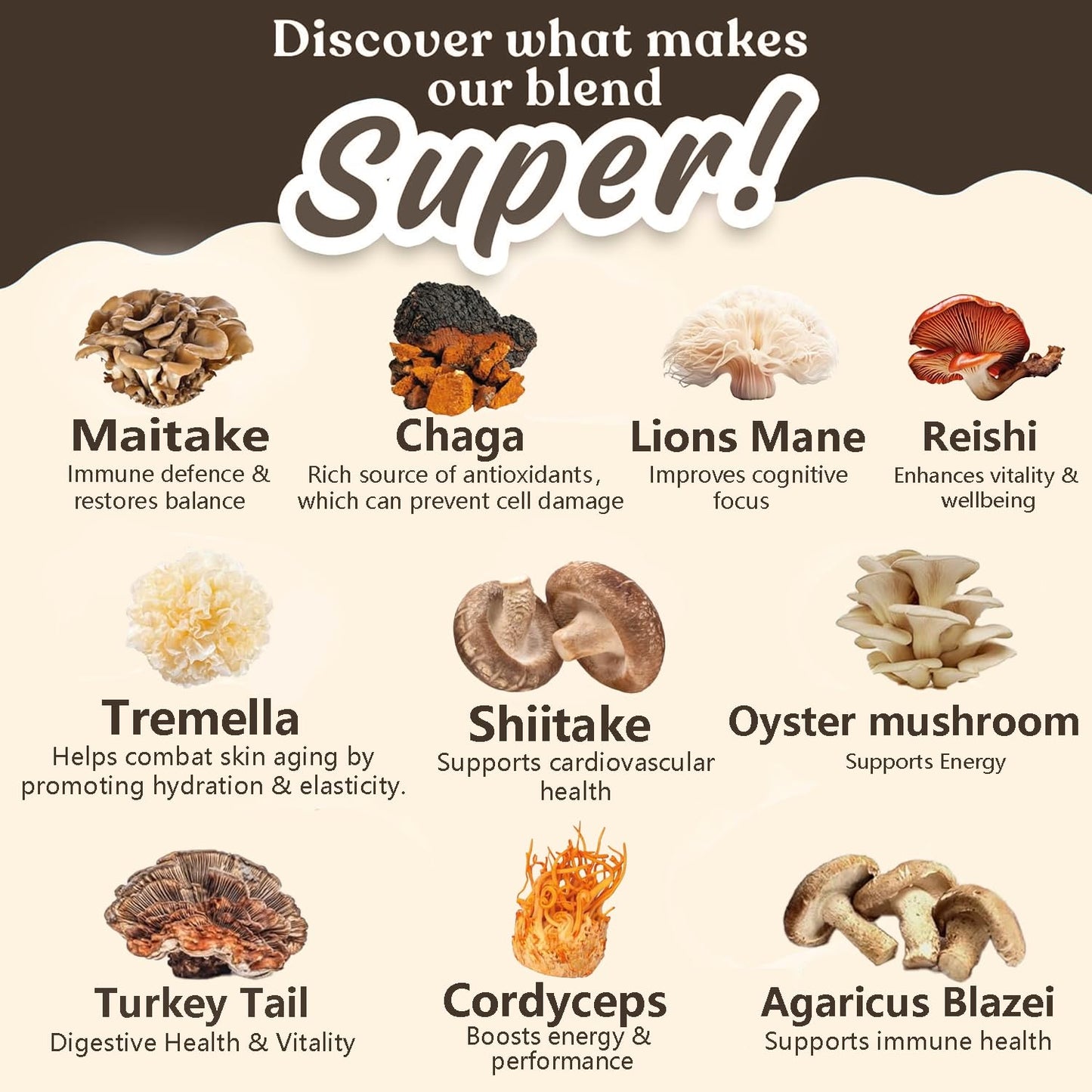 Suiyilary 10 Mushroom Coffee with Arabica w, Lion's Mane, Reishi, Mushroom Polysaccharides & More, Instant Mushrooms Powder for Focus, Immunity Boost, - Maple Wellness Supplements