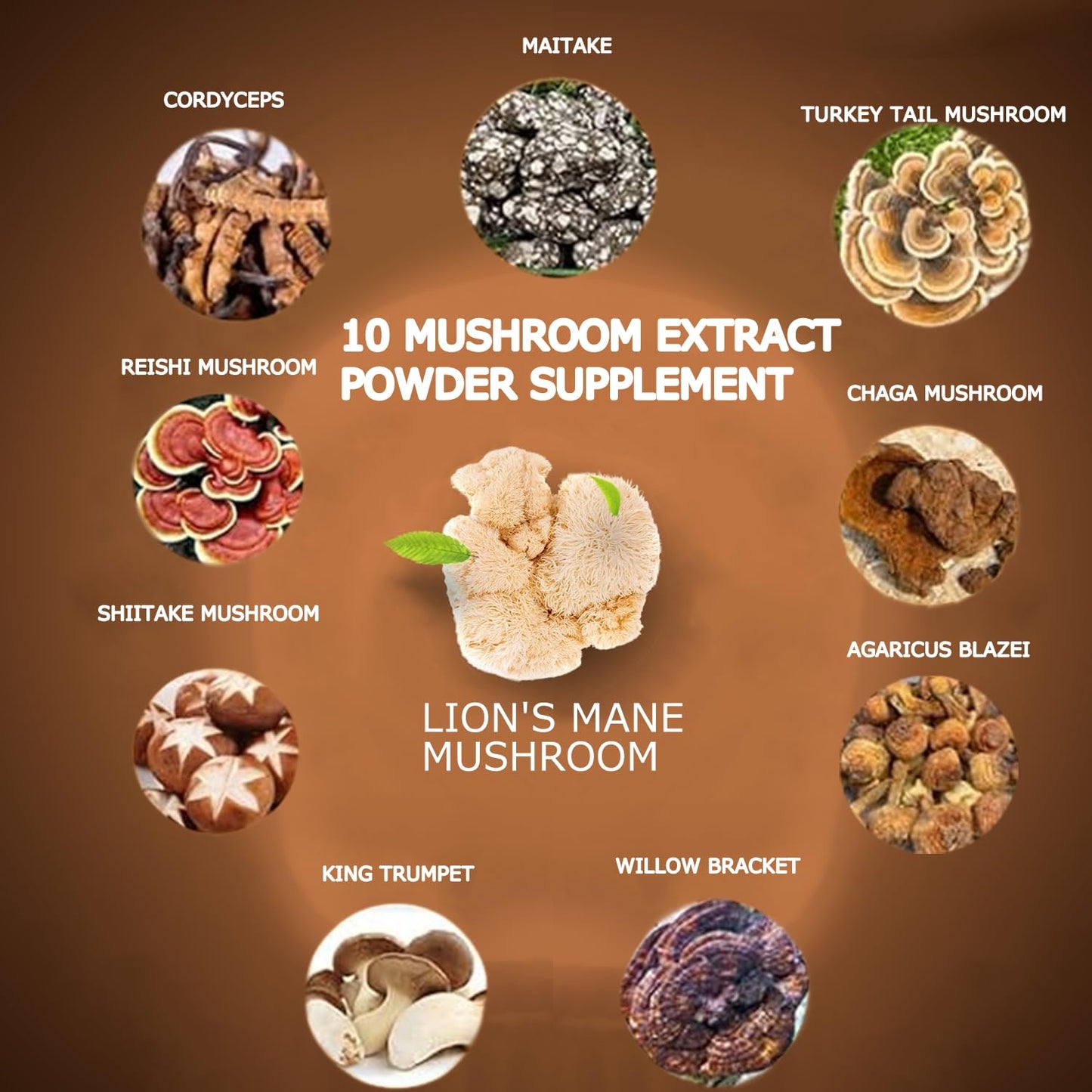 Suiyilary Mushroom Coffee, 10 Mushroom Extract Powder Blend Lion's Mane, Reishi, Chaga - Maple Wellness Supplements