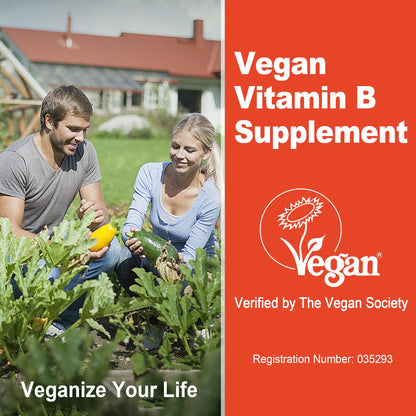 Super Methylated Vitamin B Complex Gummies - All B Vitamins + Omega-3, Magnesium, CoQ10, Ashwagandha,Vitamin C, TMG- For Women Men- Methyl B12 2000 mcg, Methylfolate - Maple Wellness Supplements