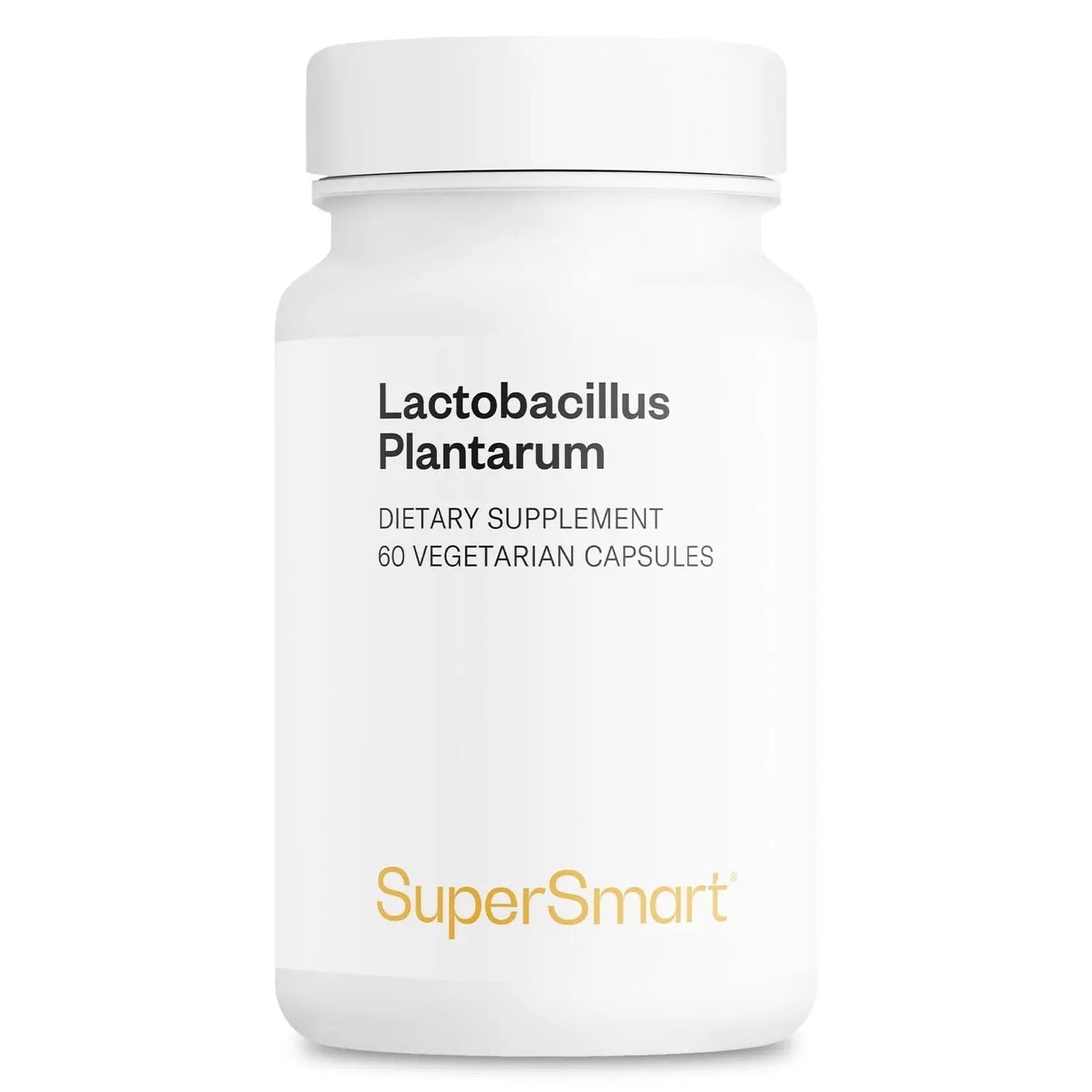 Supersmart - Lactobacillus Plantarum PostBiotic 20 Billion CFU per Day (Immuno-LP20) - Heat-Treated Probiotic Supplement | Non-GMO & Gluten Free - 60 Vegetarian Capsules - Maple Wellness Supplements