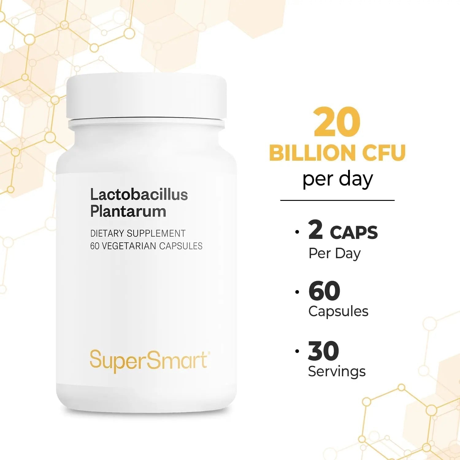Supersmart - Lactobacillus Plantarum PostBiotic 20 Billion CFU per Day (Immuno-LP20) - Heat-Treated Probiotic Supplement | Non-GMO & Gluten Free - 60 Vegetarian Capsules - Maple Wellness Supplements