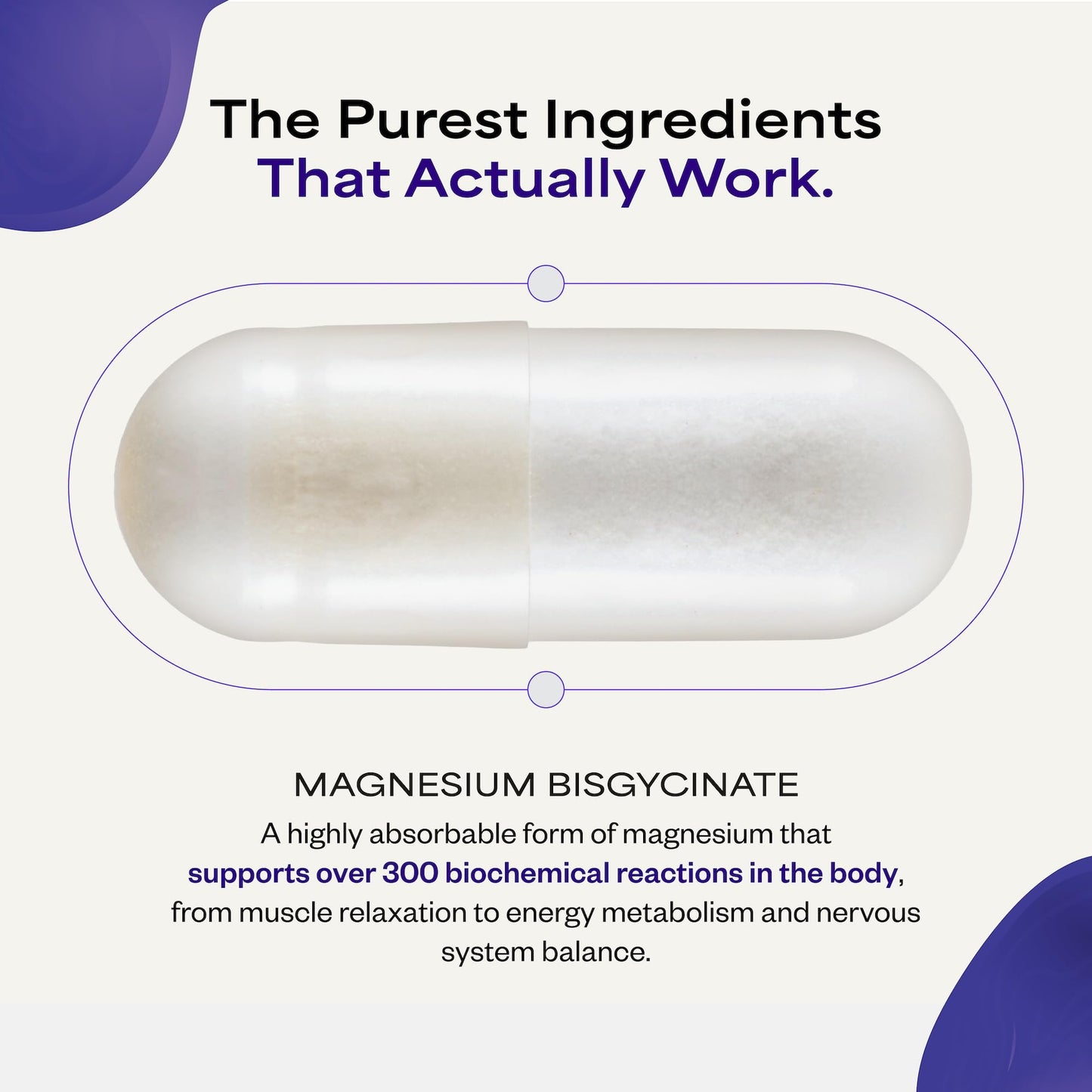Suppgrade Labs Magnesium 101 by Dave Asprey | Daily Support for Sleep, Metabolism, Relaxation, & Heart Health | 300 mg Chelated Magnesium Bisglycinate | High Absorption Magnesium | 30 Day Supply - Maple Wellness Supplements
