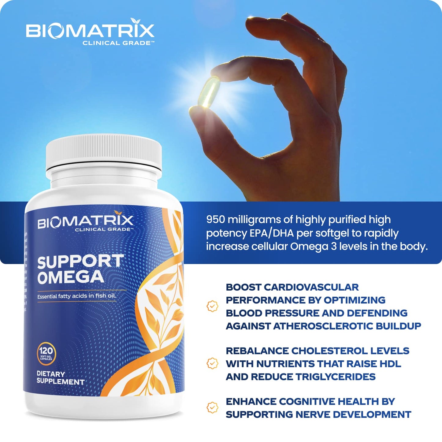 Support Omega EPA DHA Omega 3 Fish Oil Supplement - Cardiovascular, Musculoskeletal Support (120 Gel Capsules) - Maple Wellness Supplements