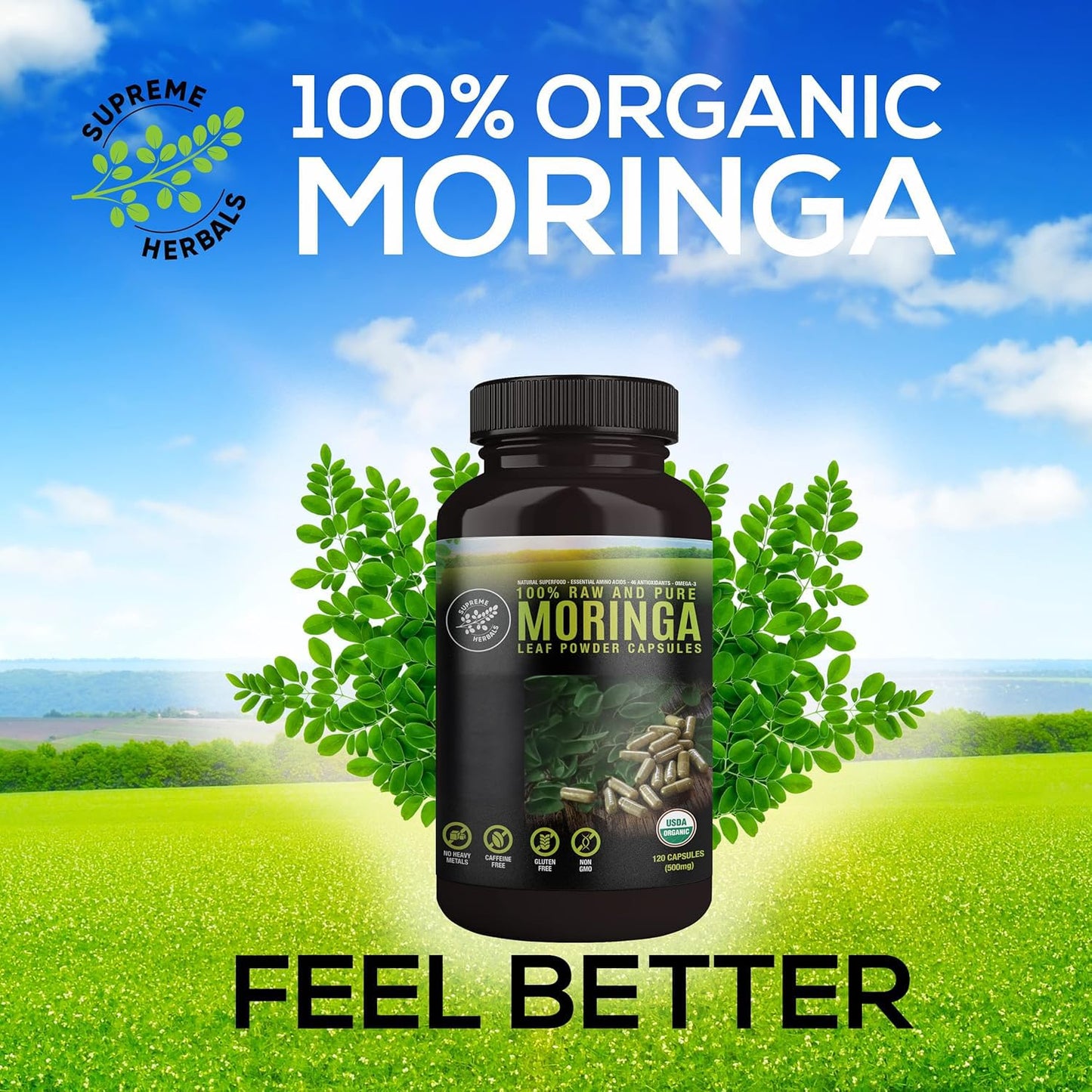 SUPREME HERBALS, 100% Raw and Pure Moringa Leaf Powder Capsules. Organic Certified Moringa Leaf. Natural Superfood with Essential Amino Acids - Maple Wellness Supplements