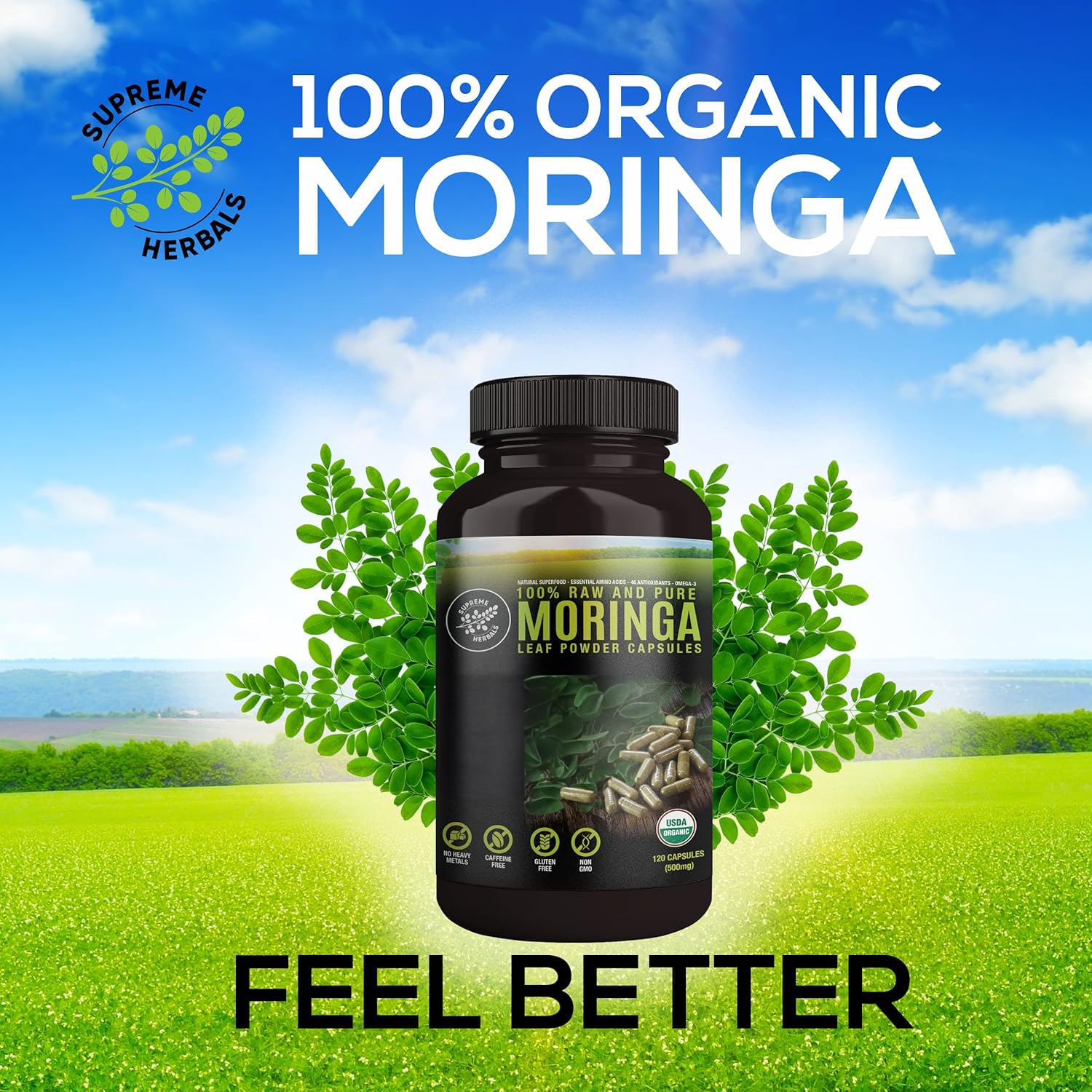 SUPREME HERBALS, 100% Raw and Pure Moringa Leaf Powder Capsules. Organic Certified Moringa Leaf. Natural Superfood with Essential Amino Acids - Maple Wellness Supplements