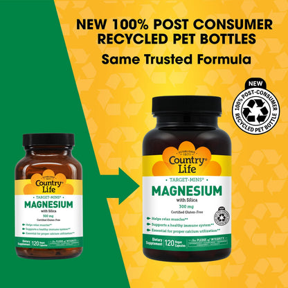 Target-Mins Magnesium with Silica 300 mg 120 Vegetarian Capsules - Maple Wellness Supplements