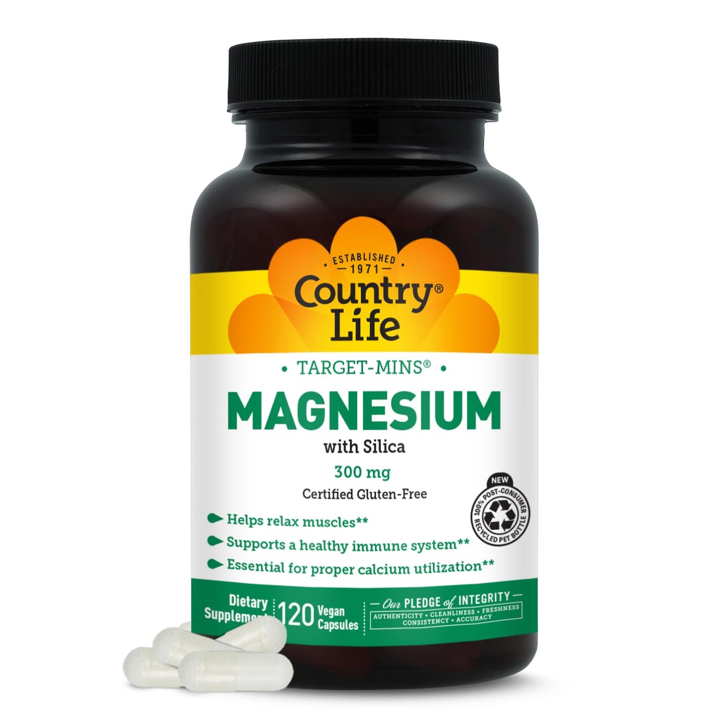 Target-Mins Magnesium with Silica 300 mg 120 Vegetarian Capsules - Maple Wellness Supplements