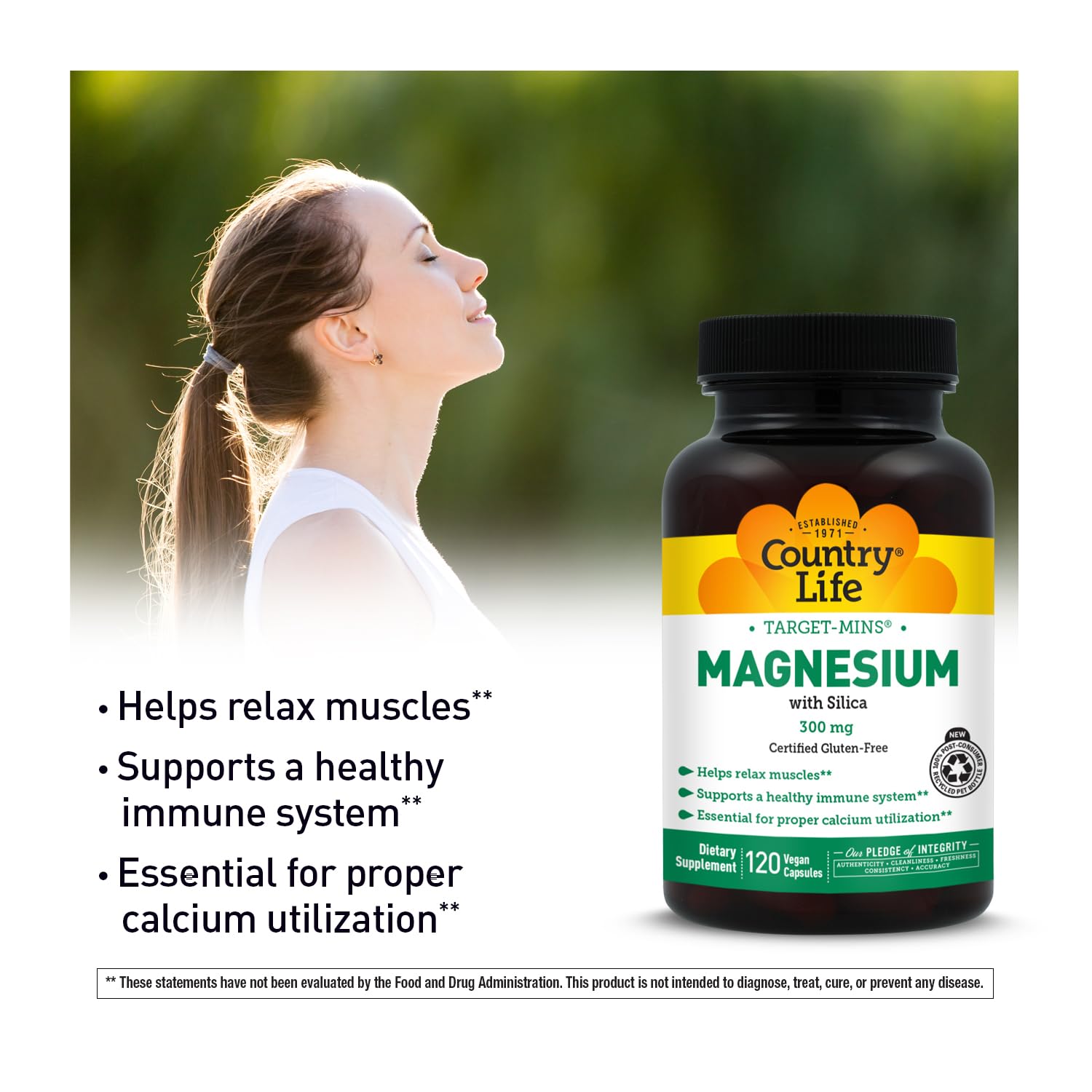 Target-Mins Magnesium with Silica 300 mg 120 Vegetarian Capsules - Maple Wellness Supplements
