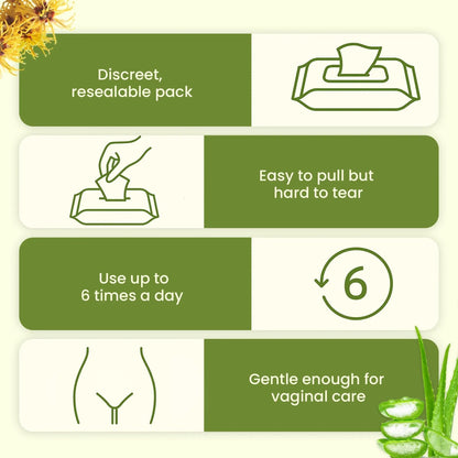 Tender Touch Hemorrhoid Wipes with Witch Hazel and Aloe, Flushable Medicated Wipes for Hemorrhoid and Vaginal Relief - Postpartum-Safe, Fragrance-free, Travel Size, 1 Pack, 48-ct. - Maple Wellness Supplements