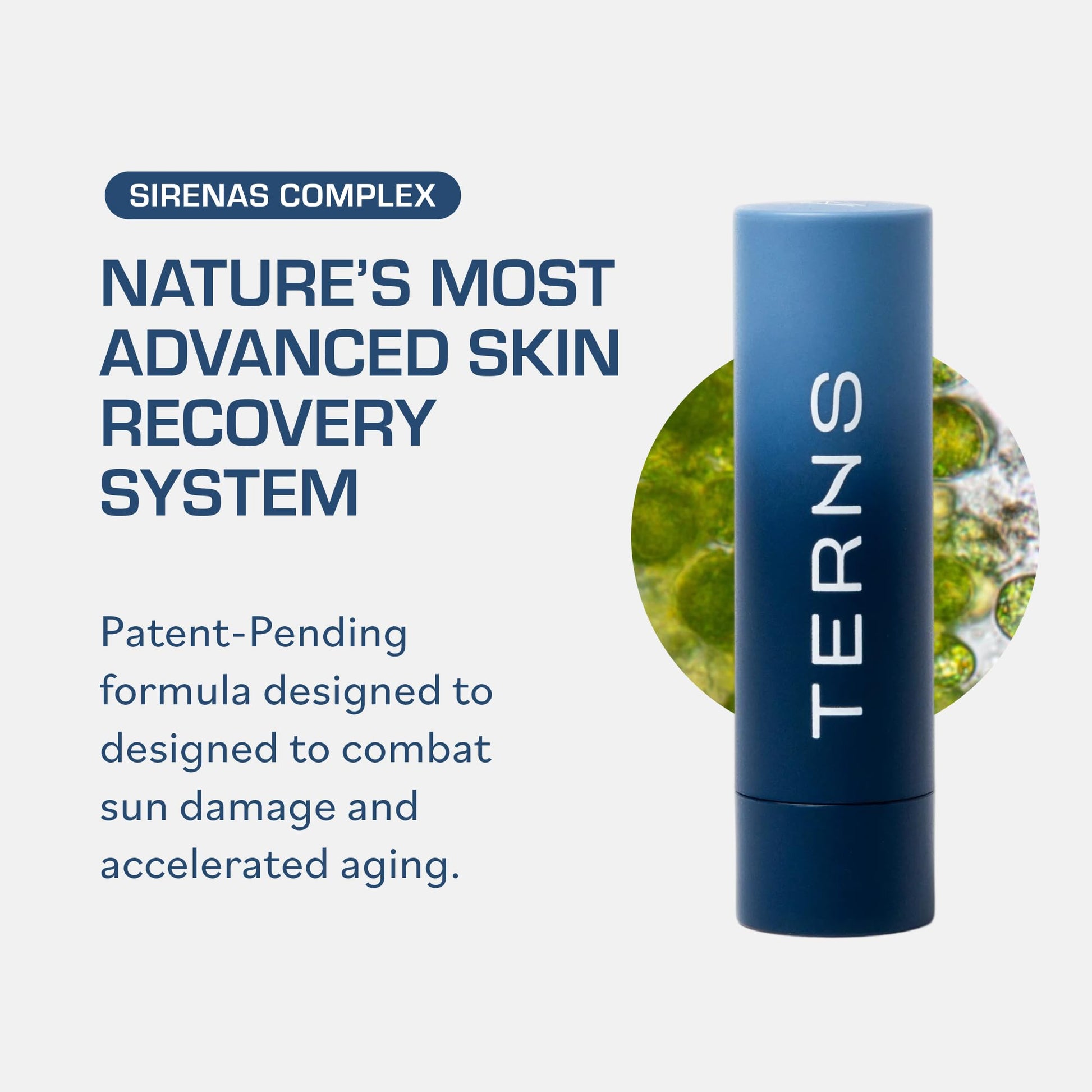 TERNS Everyday Lip Balm | Hyaluronic Acid + Baobab & Meadowfoam Oils, Algae-Powered Sirenas Complex OS, Refreshing Mint, Non-Sticky Cushion Glide, Cruelty-Free - Maple Wellness Supplements