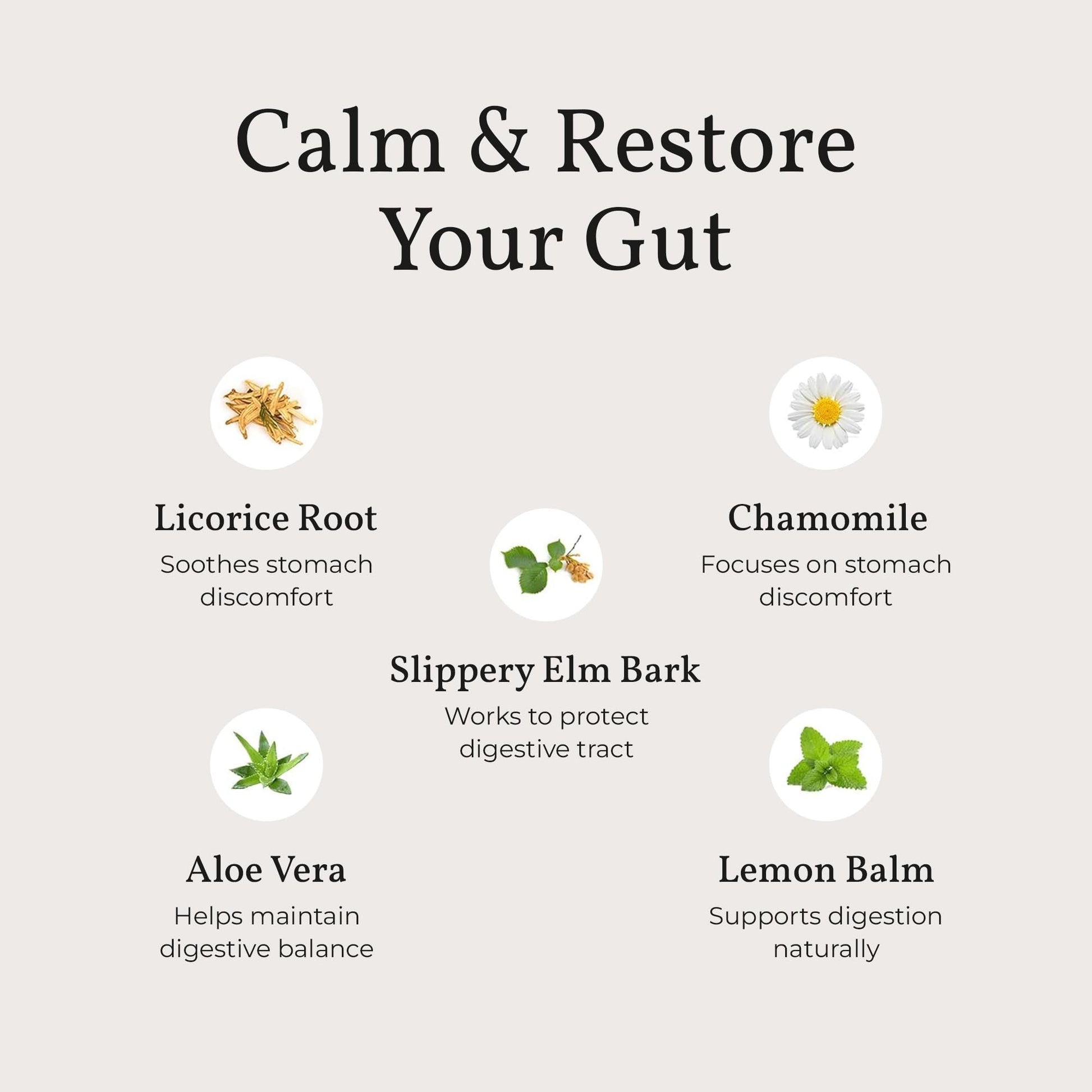 Terra Health Essentials Acid Relief - Plant Based Digestive Support Supplement for Comfortable Gut Function - Lemon Balm, Slippery Elm, - Maple Wellness Supplements