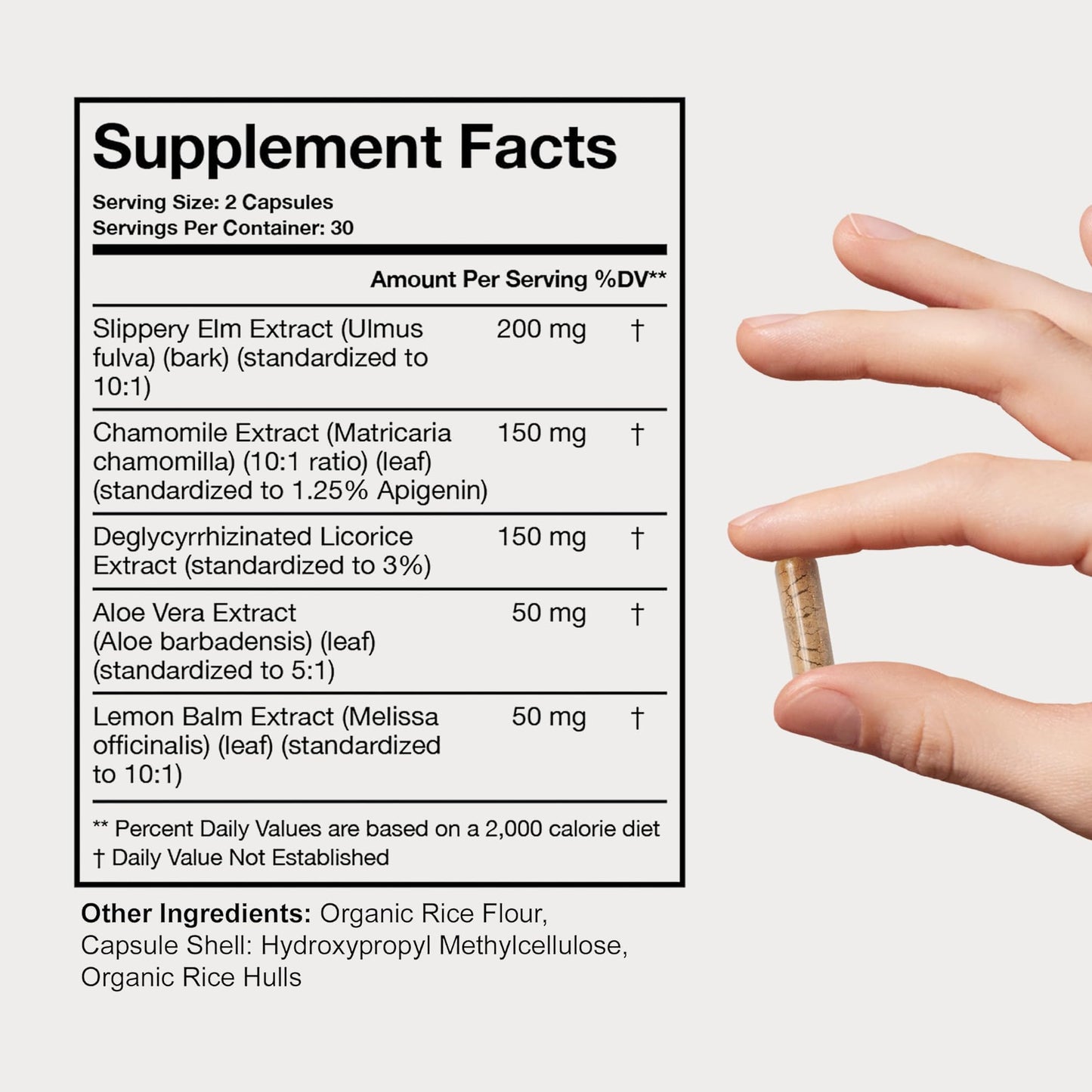 Terra Health Essentials Acid Relief - Plant Based Digestive Support Supplement for Comfortable Gut Function - Lemon Balm, Slippery Elm, - Maple Wellness Supplements