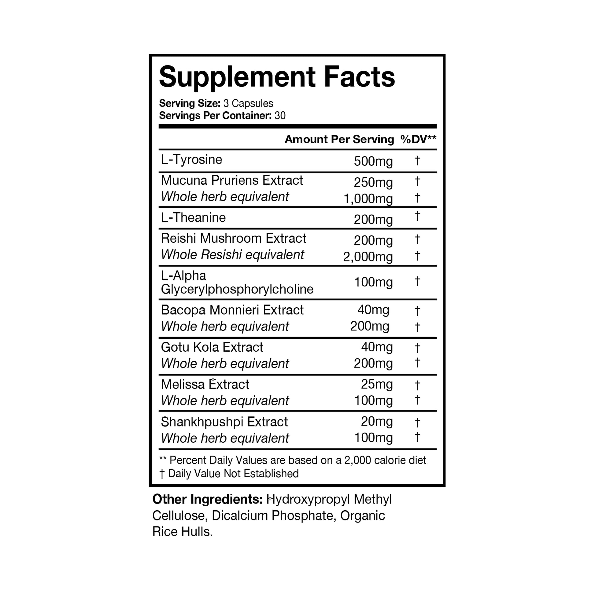 Terra Health Essentials NOOFOCUS - Nootropics Brain Support Supplement with Adaptogenic Mushrooms, Alpha-GPC, Gotu Kola, L-Theanine for Focus & Memory - All Natural, 30 Day Supply - Maple Wellness Supplements