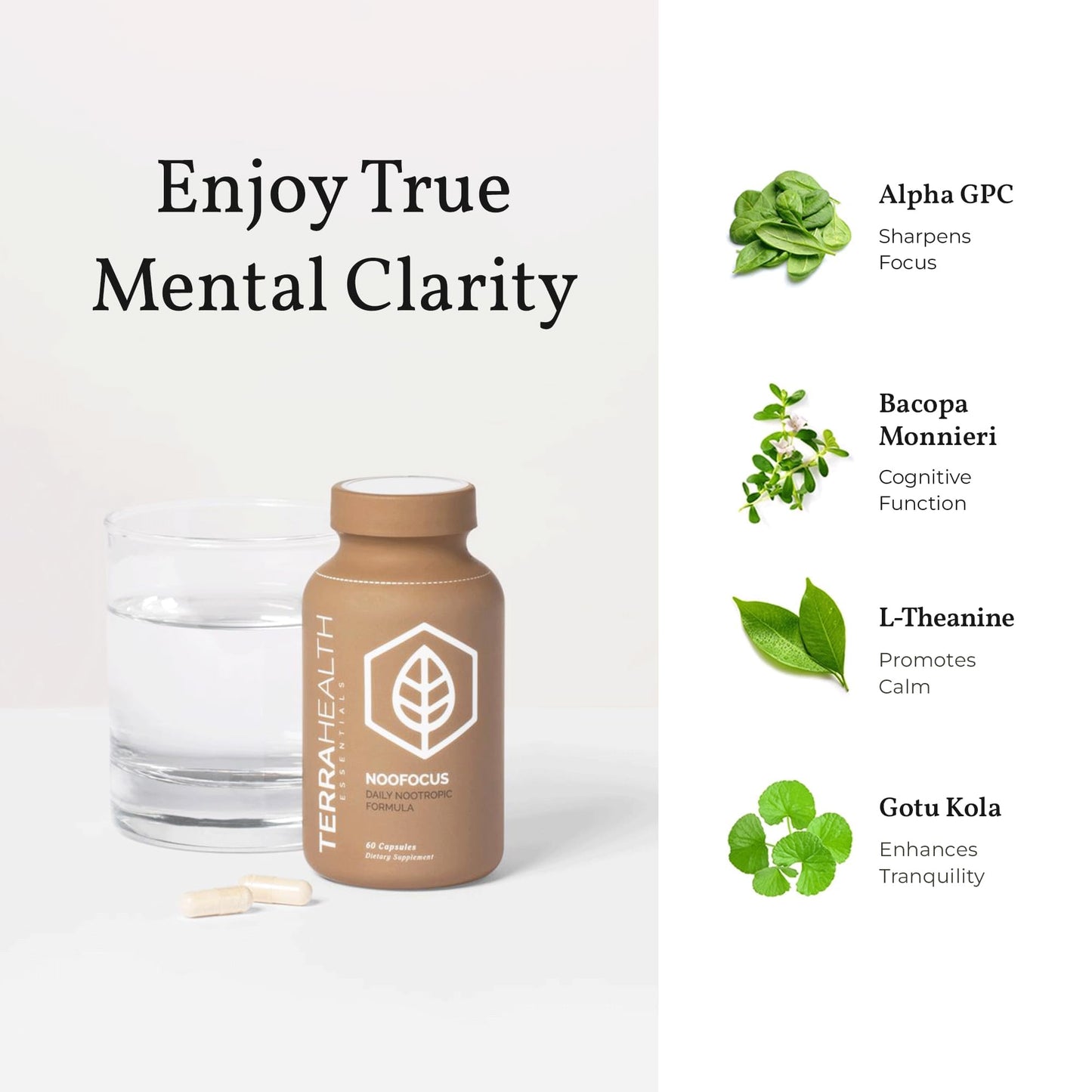 Terra Health Essentials NOOFOCUS - Nootropics Brain Support Supplement with Adaptogenic Mushrooms, Alpha-GPC, Gotu Kola, L-Theanine for Focus & Memory - All Natural, 30 Day Supply - Maple Wellness Supplements
