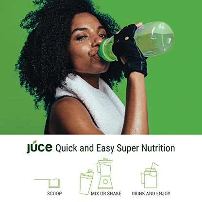 Terra Kai Organics JUCE Green Superfood Powder, Organic Fruits and Veggies Supplement - Maple Wellness Supplements