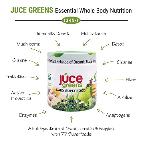 Terra Kai Organics JUCE Green Superfood Powder, Organic Fruits and Veggies Supplement - Maple Wellness Supplements
