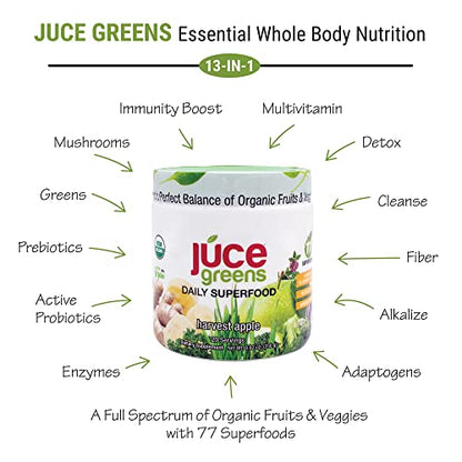 Terra Kai Organics JUCE Green Superfood Powder, Organic Fruits and Veggies Supplement - Maple Wellness Supplements