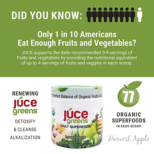 Terra Kai Organics JUCE Green Superfood Powder, Organic Fruits and Veggies Supplement - Maple Wellness Supplements