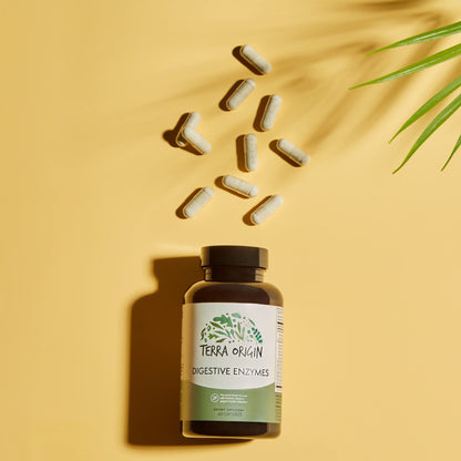 TERRA ORIGIN Digestive Enzymes with Probiotics & Prebiotics | 60 Capsules | Supports Digestive Gut Health | Non GMO, Gluten Free, - Maple Wellness Supplements
