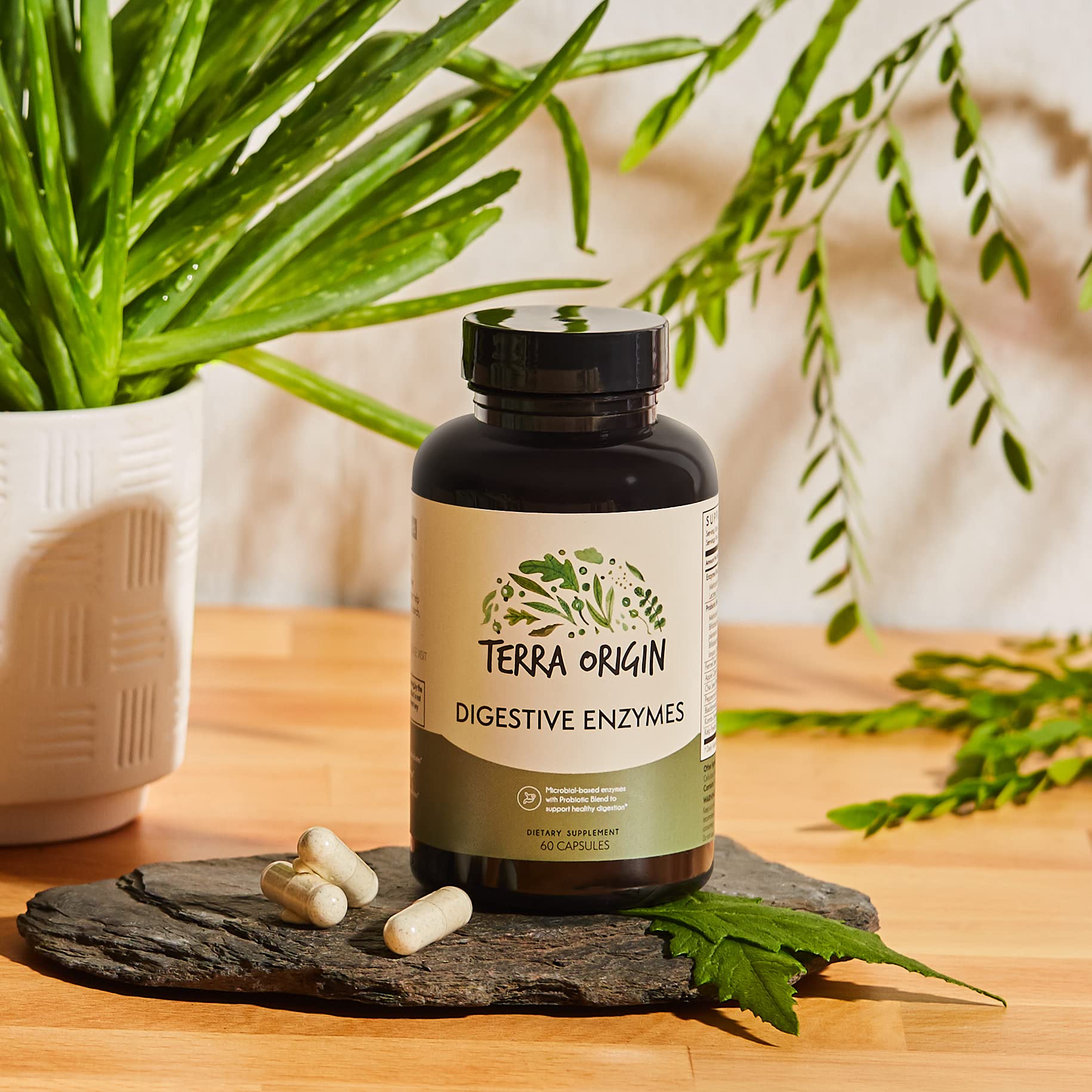 TERRA ORIGIN Digestive Enzymes with Probiotics & Prebiotics | 60 Capsules | Supports Digestive Gut Health | Non GMO, Gluten Free, - Maple Wellness Supplements