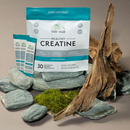 TERRA ORIGIN Healthy Creatine Micronized Monohydrate Powder | 30 Stick Packs | Support for Muscle and Cognitive Performance* | Supplement for Women and Men - Maple Wellness Supplements