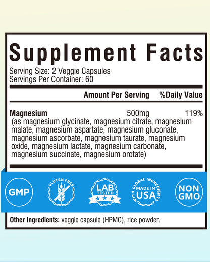 Terranics 12-in-1 Magnesium Complex 500mg, High Absorption Chelated Magnesium Glycinate, Citrate, Malate, Taurate, Orotate & More, for Sleep, Calm, Energy, Heart, Vegan, Non-GMO,120 Capsules - Maple Wellness Supplements