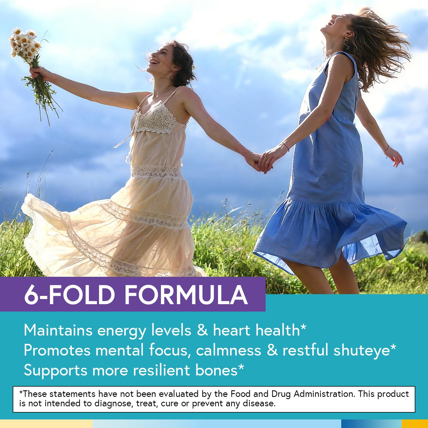 Terranics Magnesium Complex, 6-in-1, High Absorption, Glycinate, Citrate, Aspartate, Gluconate, Calmness, Heart, Bone, 240 Capsules, Non-Buffered - Maple Wellness Supplements