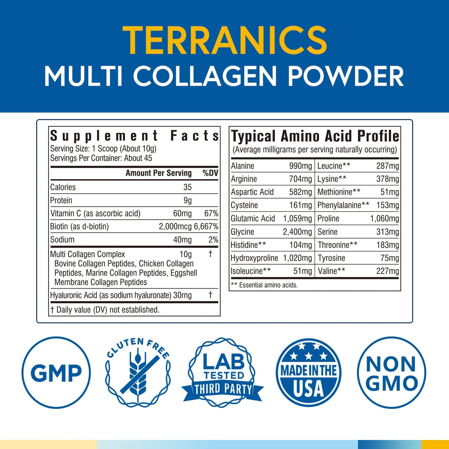 Terranics Multi Collagen Powder Type I II II V X with Biotin VC Hyaluronic Acid, Paleo - Maple Wellness Supplements