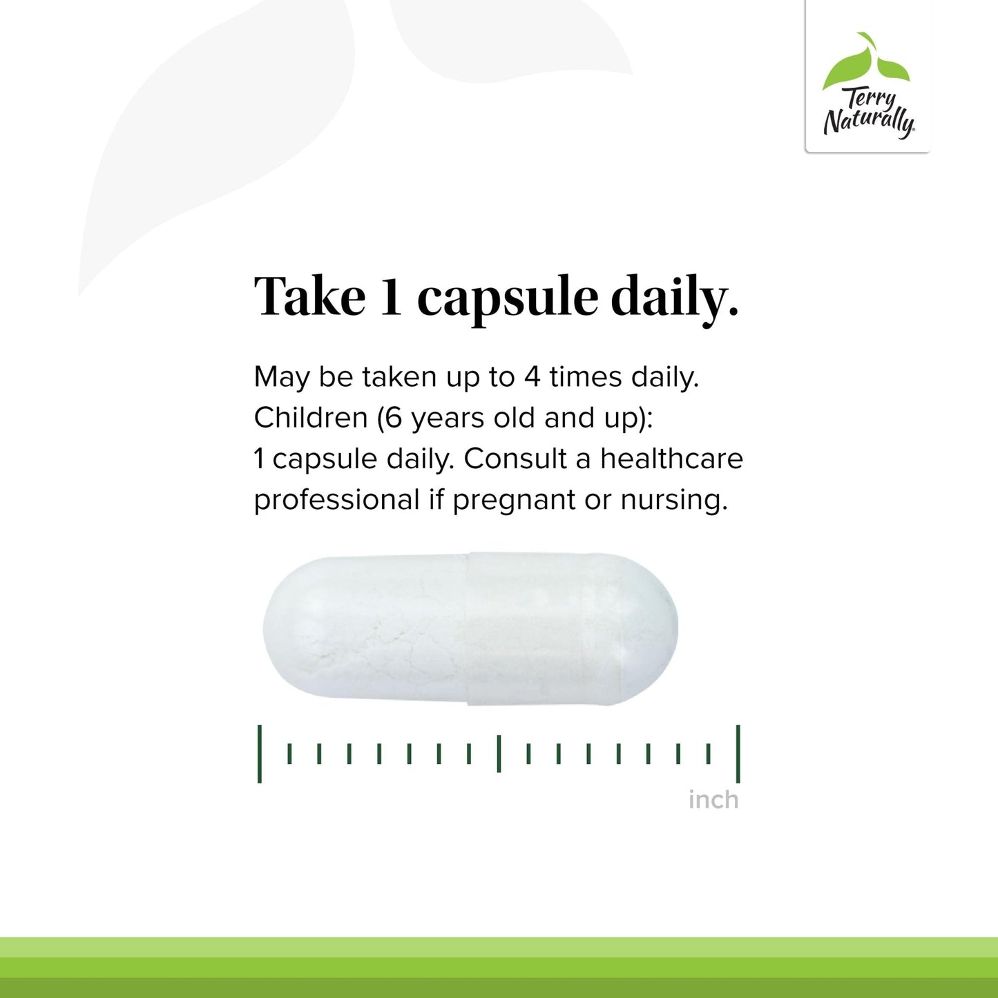 Terry Naturally BioActive Magnesium Complex - Bone & Heart Health Support - Supplement with Vitamin B6, Zinc & Magnesium - Pyridoxal-5-Phosphate Vegan Capsule Supplement - 120 Capsules - Maple Wellness Supplements