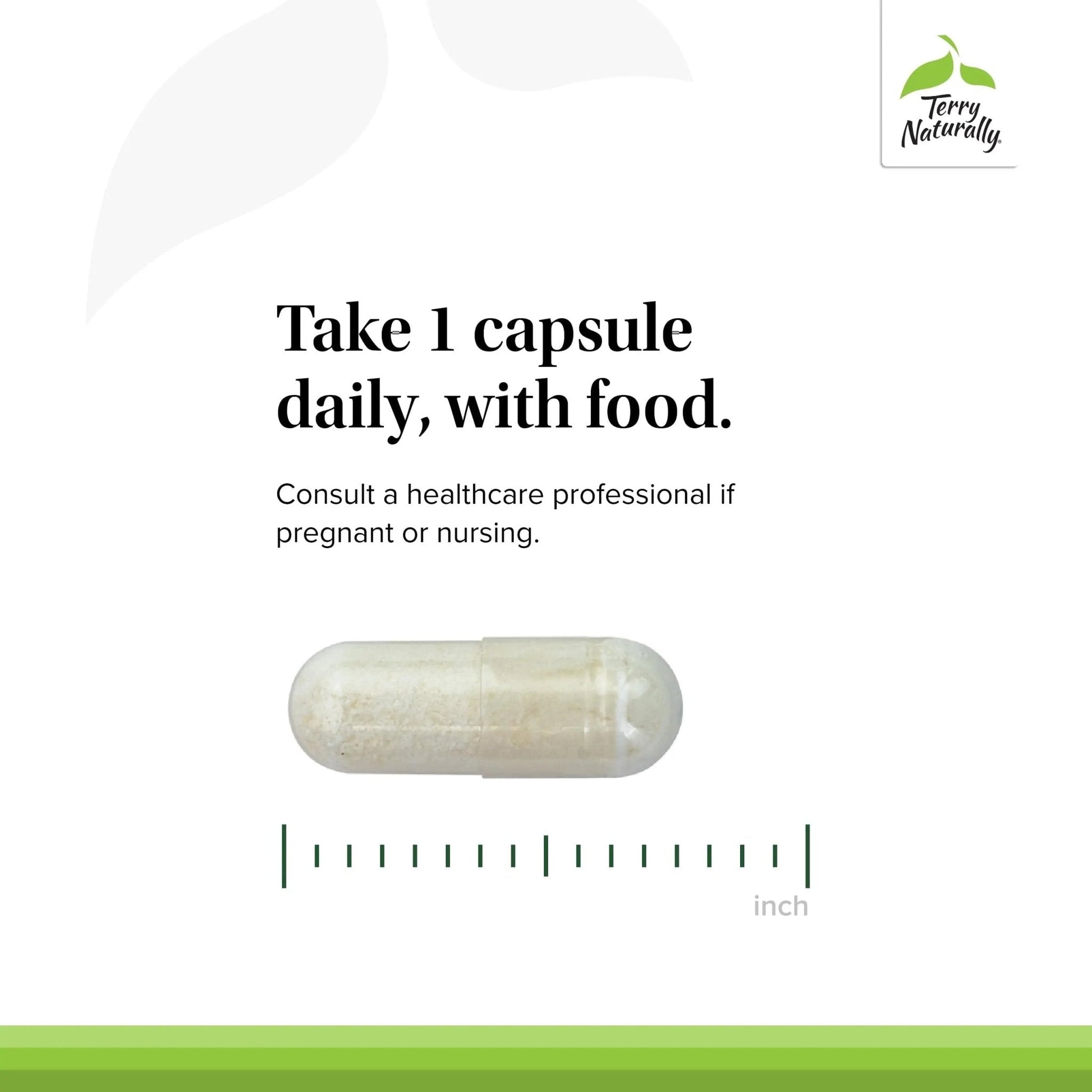 Terry Naturally FloraSure Probiotic - Digestion Supplement to Aid Against Occasional Bloating & Support Gas Relief - Gut Health Support with Bifidobacterium Bifidum - 30 Capsules (Pack of 2) - Maple Wellness Supplements