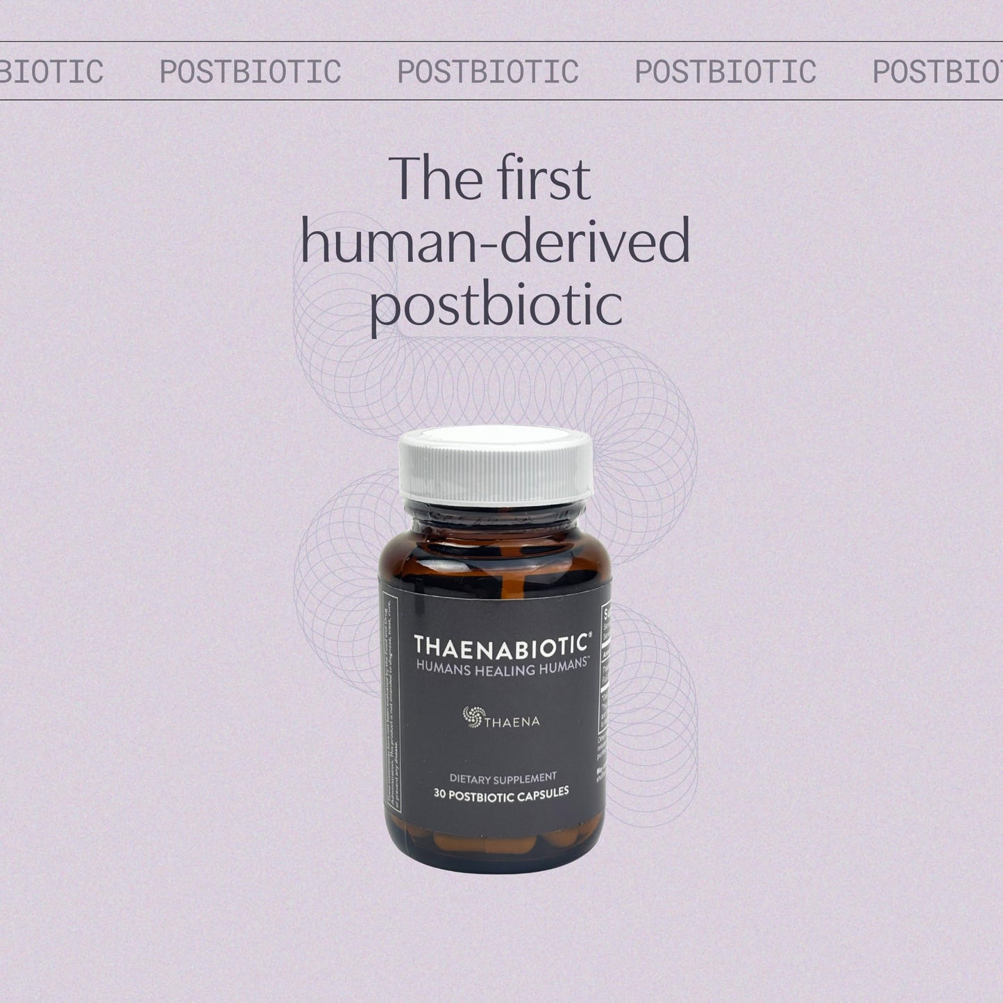 Thaena ThaenaBiotic Postbiotic - World's First Human-Derived Postbiotic Supplement - 30 Count - Maple Wellness Supplements