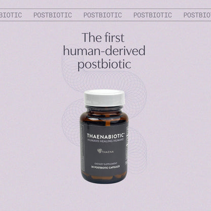 Thaena ThaenaBiotic Postbiotic - World's First Human-Derived Postbiotic Supplement - 30 Count - Maple Wellness Supplements