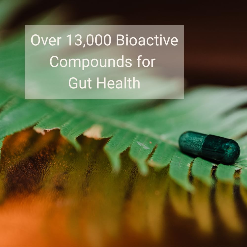 Thaena ThaenaBiotic Postbiotic - World's First Human-Derived Postbiotic Supplement - 30 Count - Maple Wellness Supplements