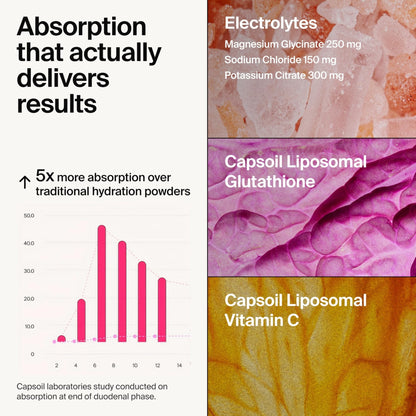 The Absorption Company Electrolyte Powder Packets - Workout Recovery & Hydration Drink Mix with Liposomal Glutathione, Vitamin C & Methylated B Vitamins - Maple Wellness Supplements